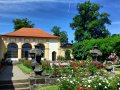 ruzova-zahrada