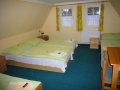hotel-u-zeleneho-stromu