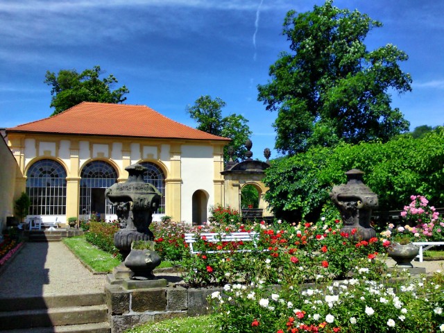 ruzova zahrada