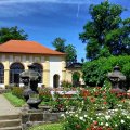 ruzova-zahrada