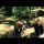 Děčín - ZOO a Rajské ostrovy